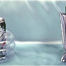 Mobile & Glasses Holder & Protector Size-8in-2