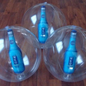 Vodka Bottle in transparent sphere 12" Dia