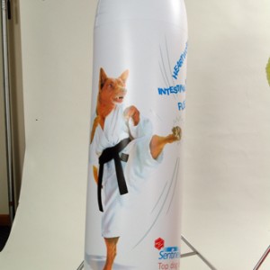 shape inflatables Standees 6