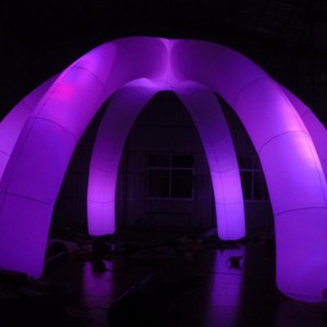 Colour-changing-lamps-in-tent-stall-1 Colour-changing-lamps-in-tent-stall-1